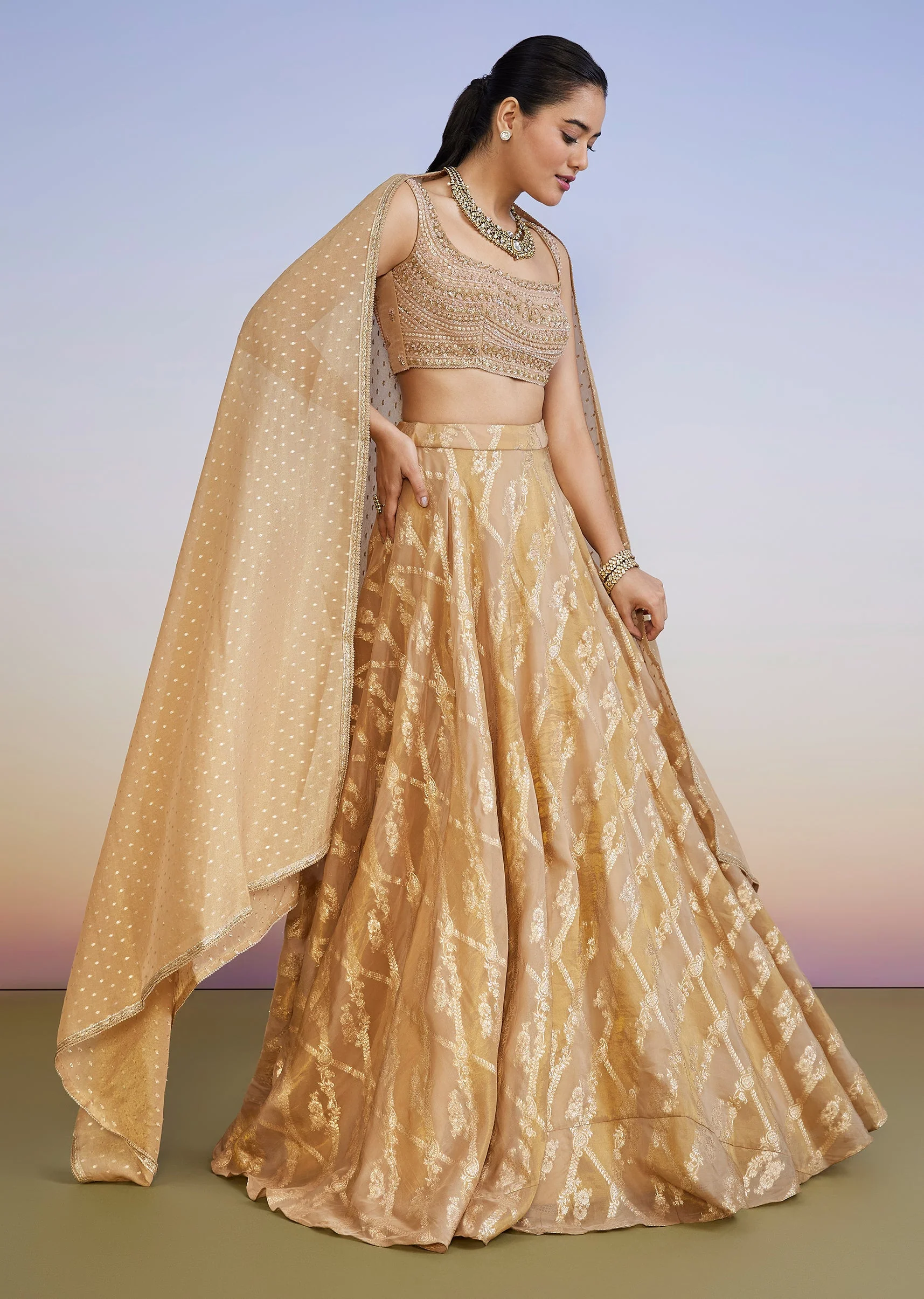 New Arrival Lehenga